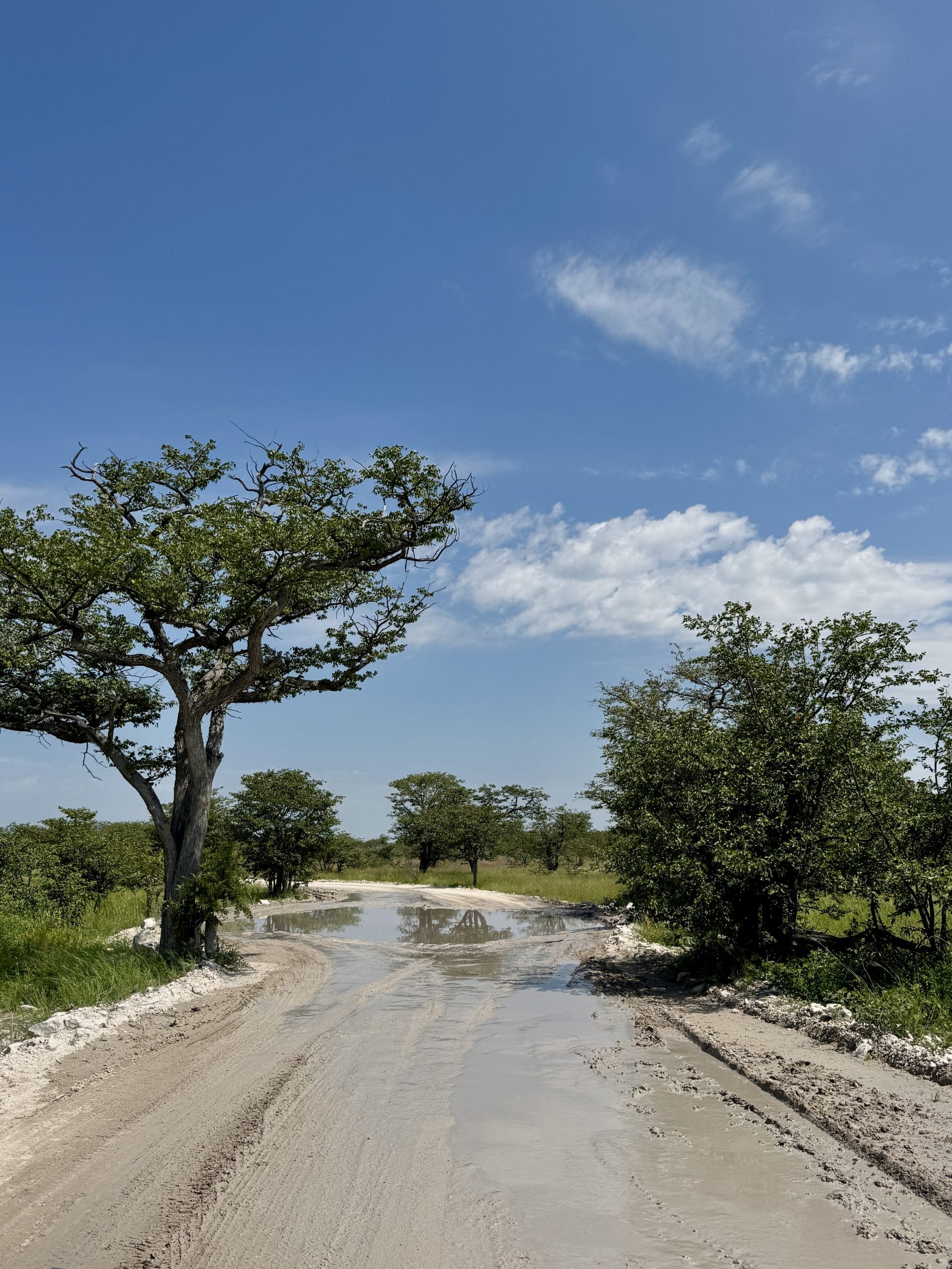 Modderige 4x4-weg met waterplas in Etosha National Park tijdens een selfdrive safari in Namibië, omringd door savanne en acaciabomen onder een blauwe lucht.